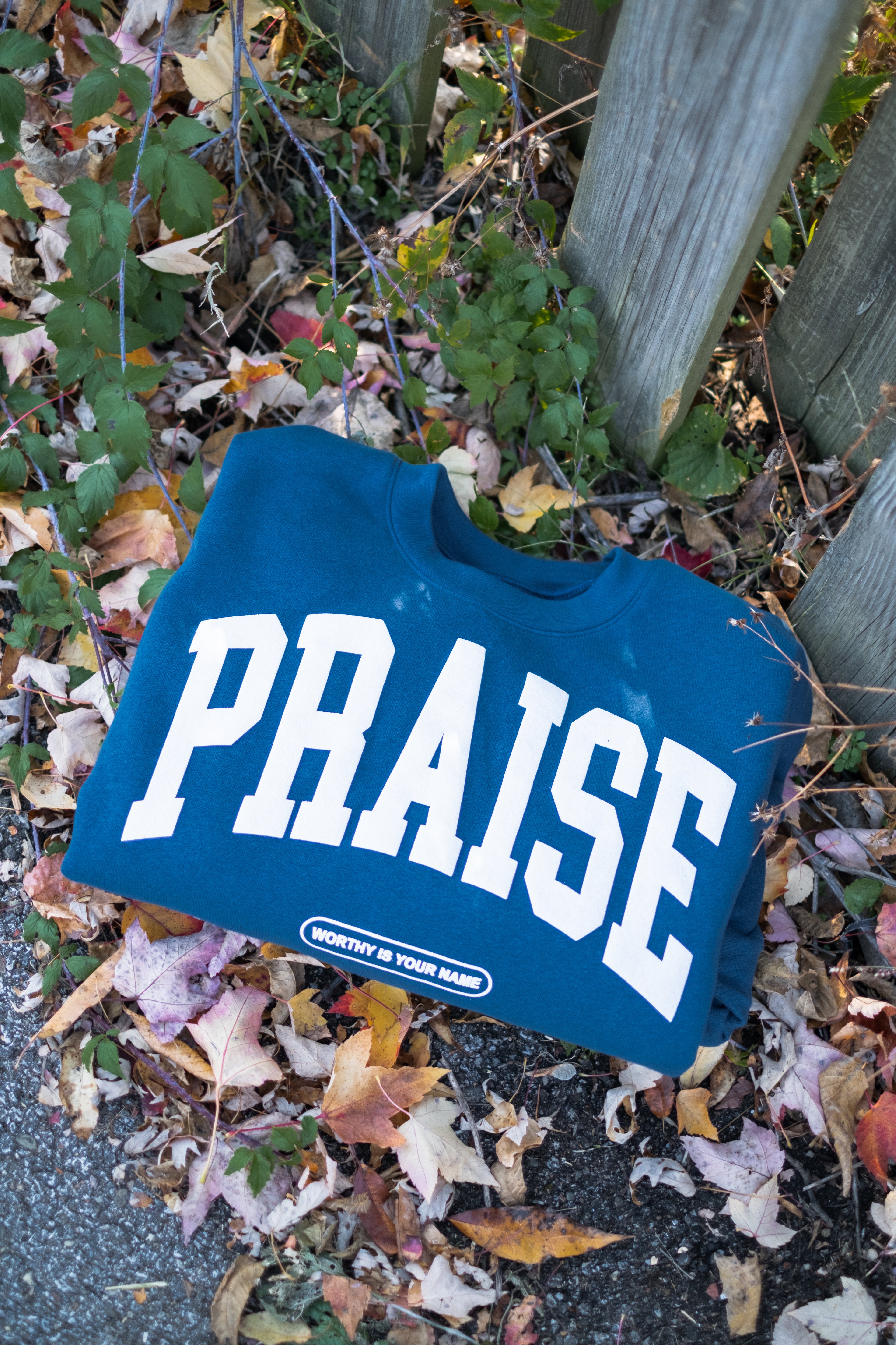 PRAISE CREWNECK