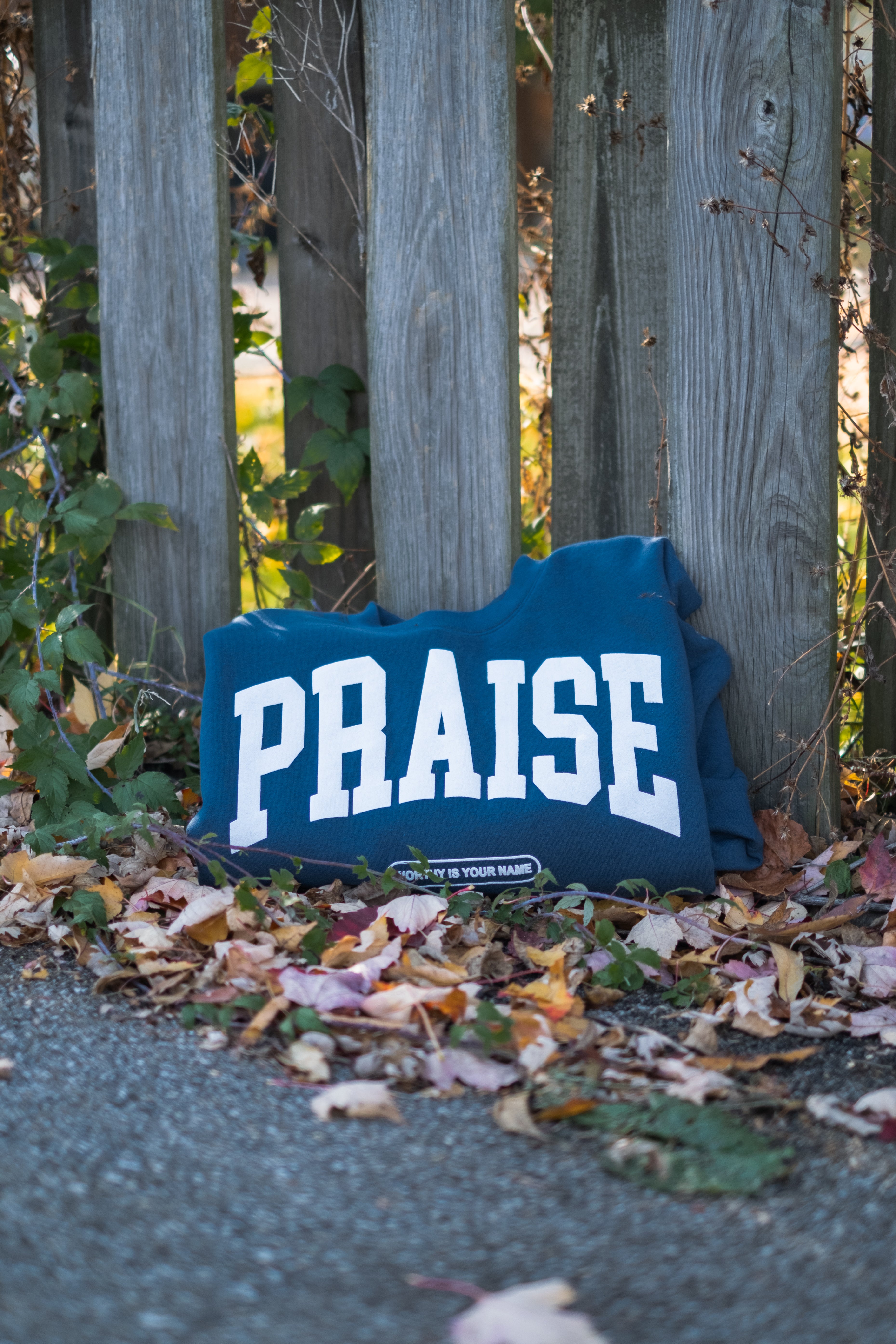 PRAISE CREWNECK